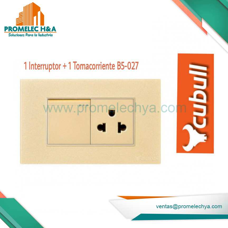 INTERRUPTOR + TOMACORRIENTE B5 DORADO LISO CUBULL